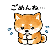 839944492