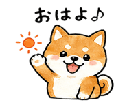 839944496