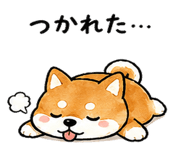 839944500