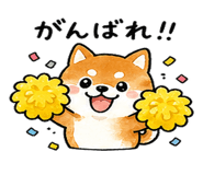 839944507