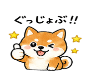 839944510