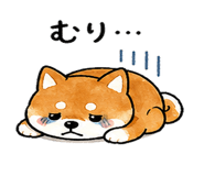 839944511
