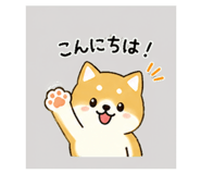 839945057