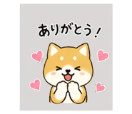 839945058