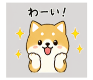 839945062