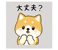 839945065