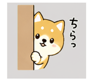839945073