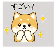 839945076