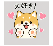 839945077