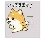 839945080