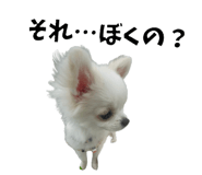 839946341