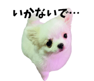 839946342
