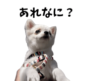 839946344