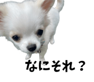 839946352