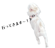 839946356