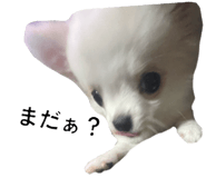 839946358