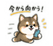 839947307