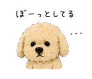 839949635