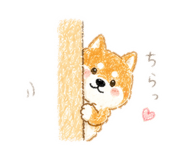 839950456