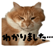 839950647