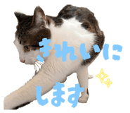 839950656