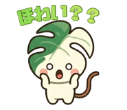 839950832