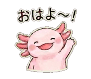839951505