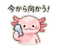839951523