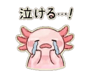 839951527