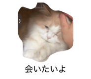 839952681