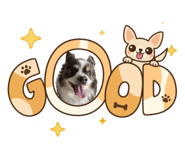 839953034