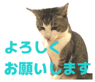 839953081