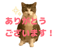 839953084