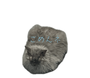 839953281