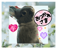 839953364