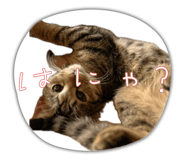 839953468