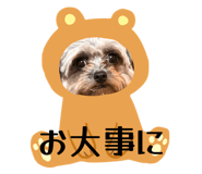 839953529