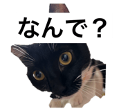 839953545