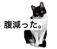 839953547