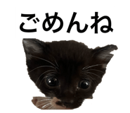 839953552