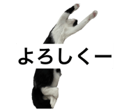 839953553