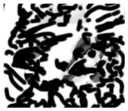 839953692