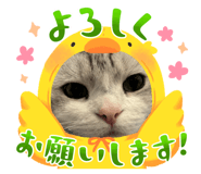 839953709