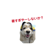 839953781