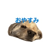839953782