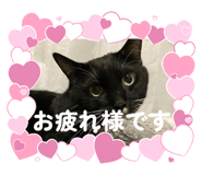 839953998