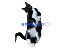 839954000