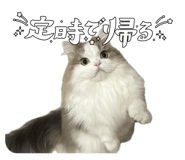 839954016