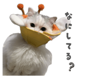 839954017