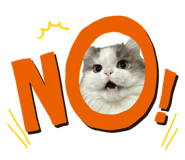839954019